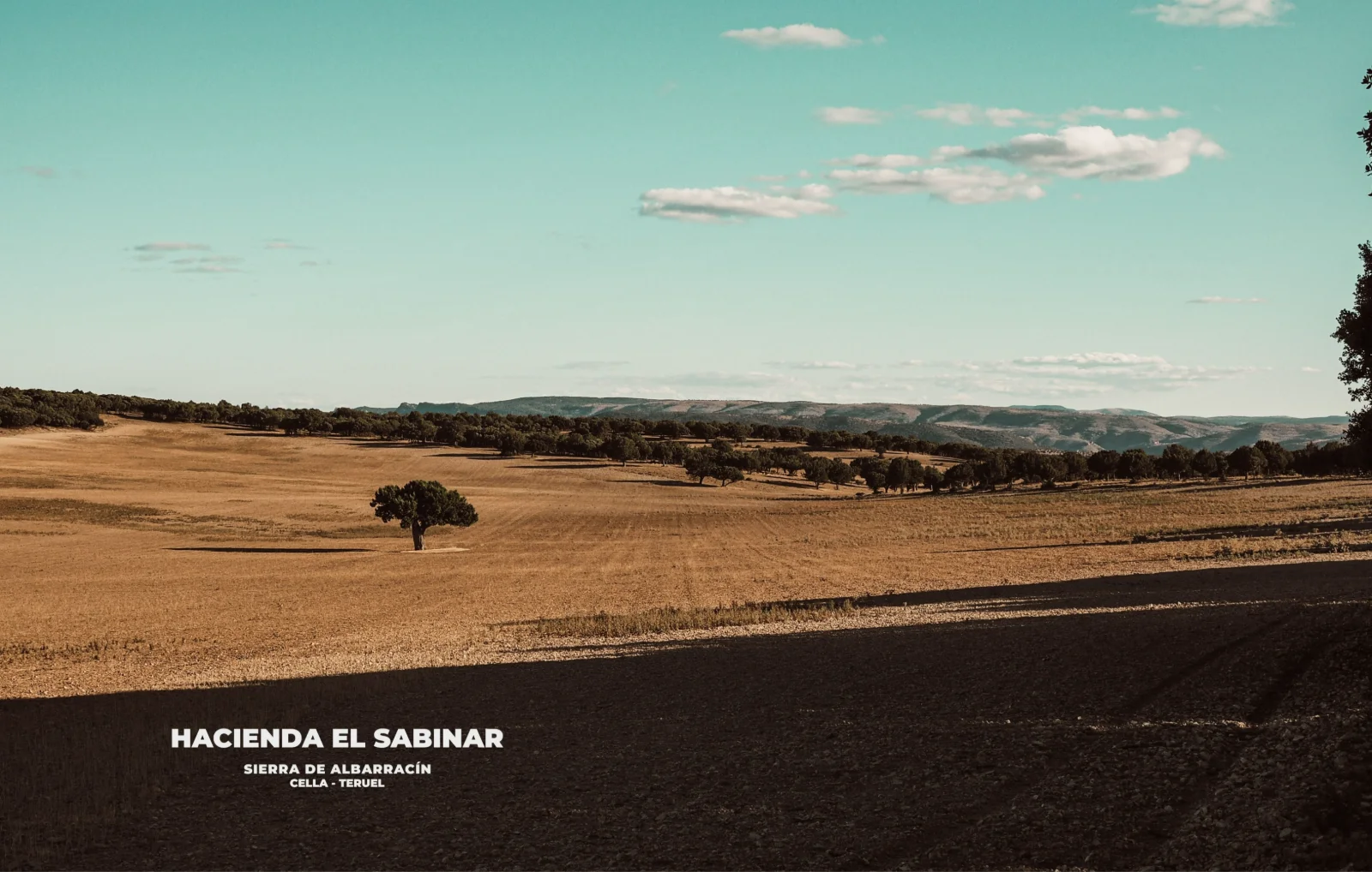 Finca Sabinar - Main