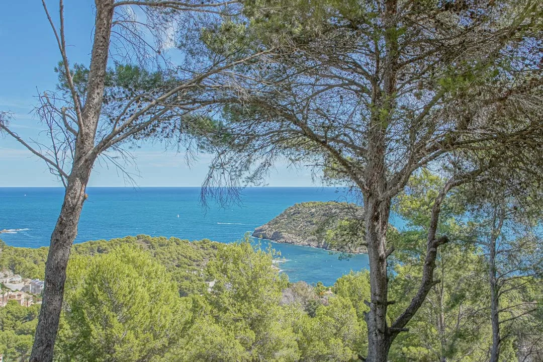 Grundstück mit fantastischem Meerblick in Portichol - View 2
